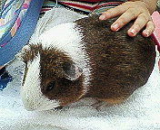 ファイル 101-2.jpg