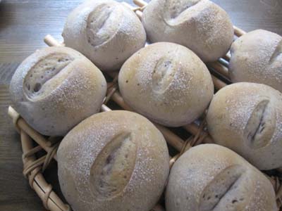 ファイル 1028-1.jpg