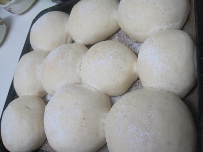 ファイル 1040-1.jpg