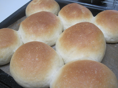 ファイル 1043-1.jpg