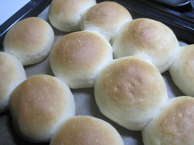 ファイル 1050-1.jpg