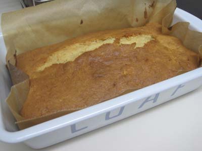 ファイル 1053-1.jpg