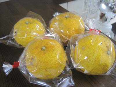 ファイル 1054-1.jpg