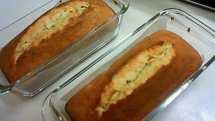 ファイル 1071-1.jpg