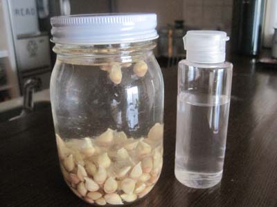 ファイル 1084-1.jpg