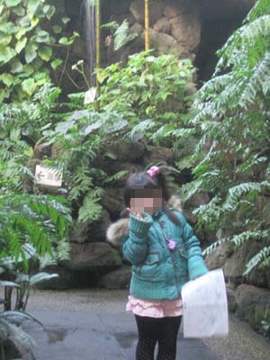 ファイル 1089-1.jpg