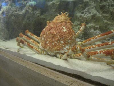 ファイル 1089-2.jpg