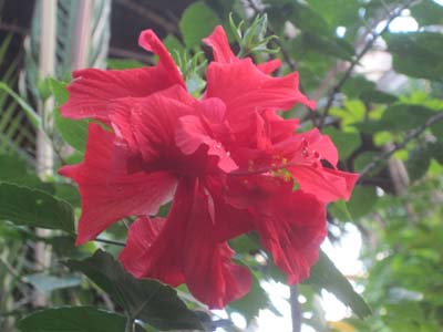 ファイル 1089-3.jpg