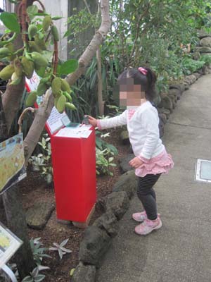 ファイル 1111-5.jpg