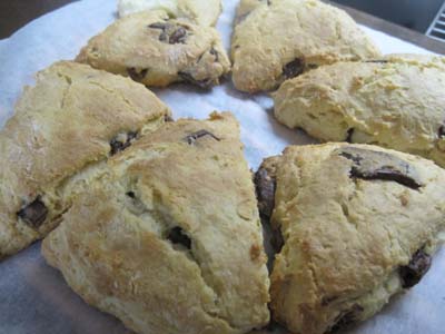 ファイル 1117-1.jpg