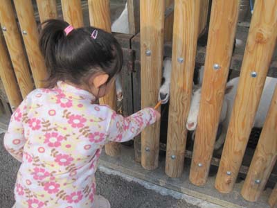 ファイル 1131-1.jpg