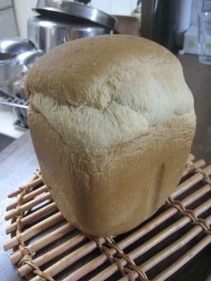 ファイル 1136-2.jpg