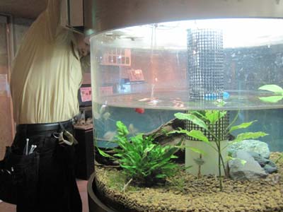 ファイル 1139-1.jpg