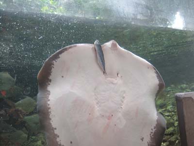 ファイル 1139-2.jpg