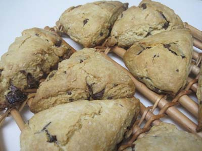 ファイル 1146-1.jpg