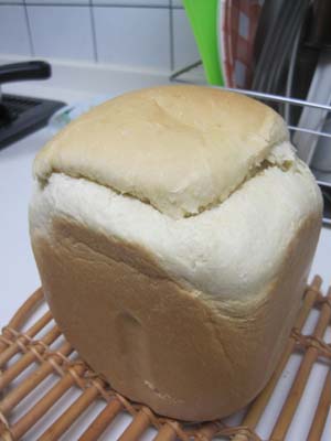 ファイル 1146-2.jpg