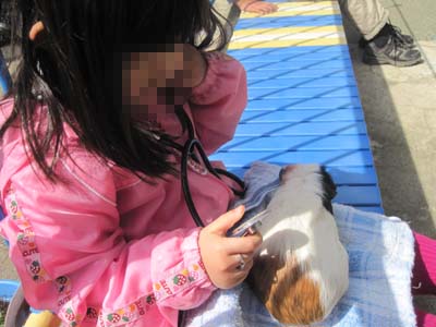 ファイル 1149-2.jpg