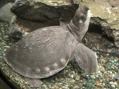 ファイル 1157-2.jpg