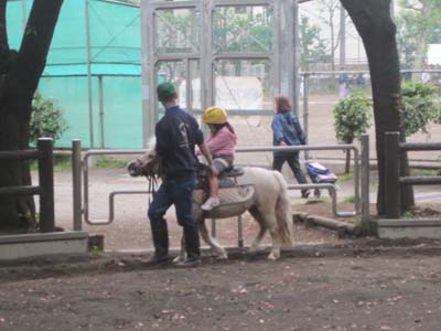 ファイル 1194-2.jpg