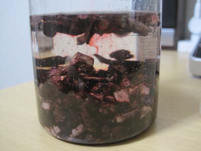 ファイル 1210-3.jpg