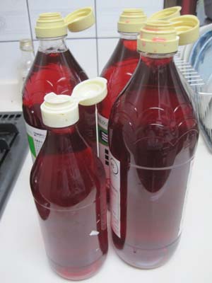 ファイル 1236-1.jpg