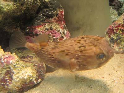 ファイル 1250-1.jpg