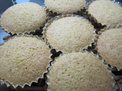 ファイル 1263-1.jpg