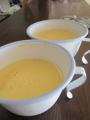 ファイル 1267-1.jpg