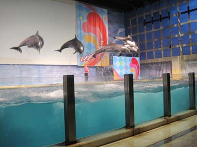 ファイル 1292-3.jpg