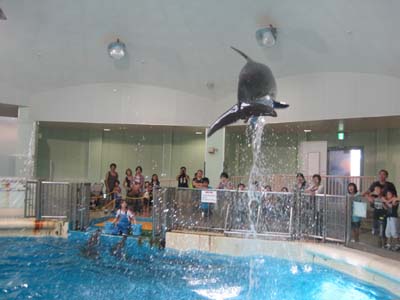 ファイル 1292-4.jpg