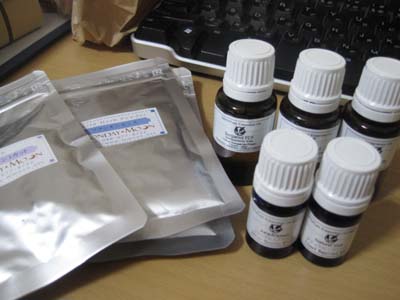 ファイル 1342-1.jpg