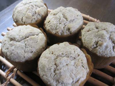 ファイル 1347-1.jpg