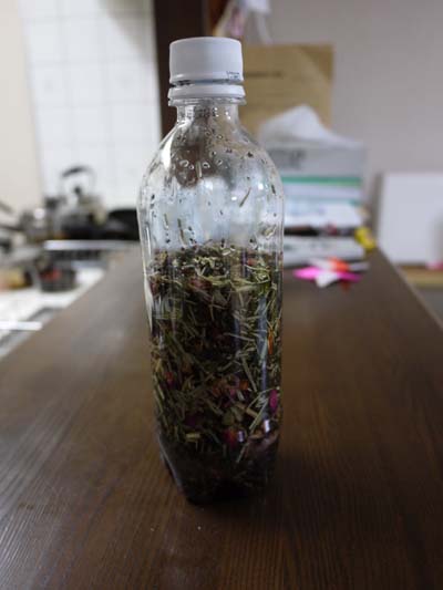 ファイル 1401-2.jpg