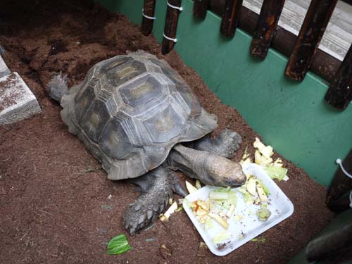 ファイル 1443-2.jpg