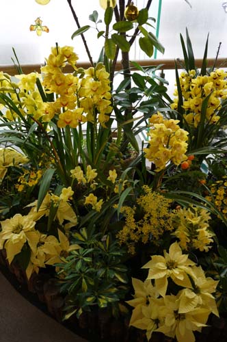 ファイル 1443-3.jpg