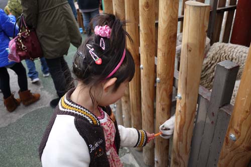 ファイル 1443-4.jpg