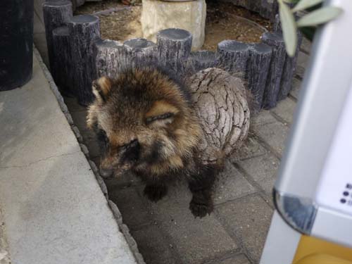 ファイル 1443-5.jpg