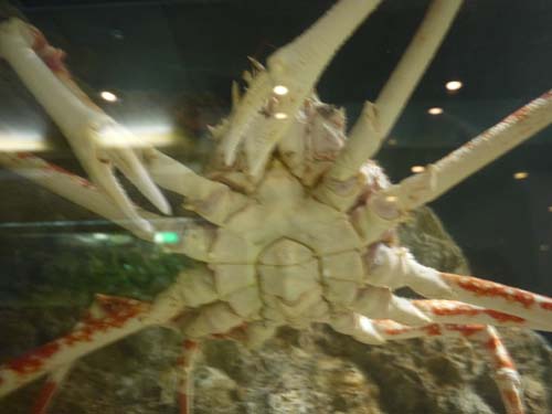 ファイル 1500-1.jpg