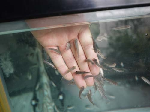 ファイル 1500-3.jpg