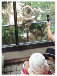 ファイル 272-1.jpg