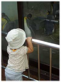 ファイル 272-2.jpg