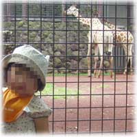 ファイル 272-3.jpg