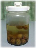 ファイル 284-1.jpg