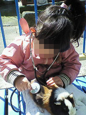 ファイル 471-1.jpg