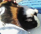 ファイル 471-2.jpg