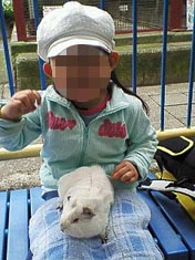 ファイル 526-1.jpg