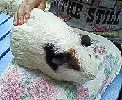 ファイル 540-2.jpg