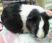 ファイル 540-3.jpg