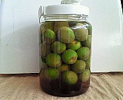 ファイル 563-1.jpg