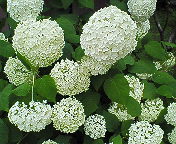 ファイル 569-1.jpg